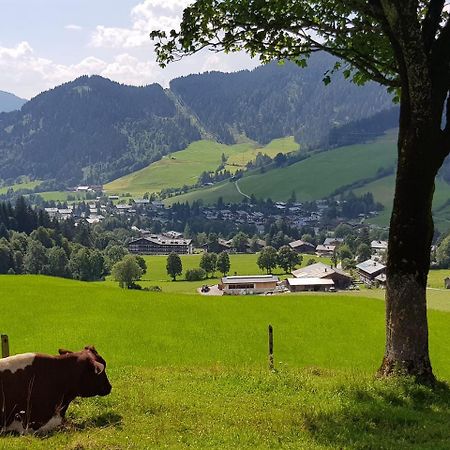 Haus Sonnleiten Maria Alm am Steinernen Meer Zewnętrze zdjęcie
