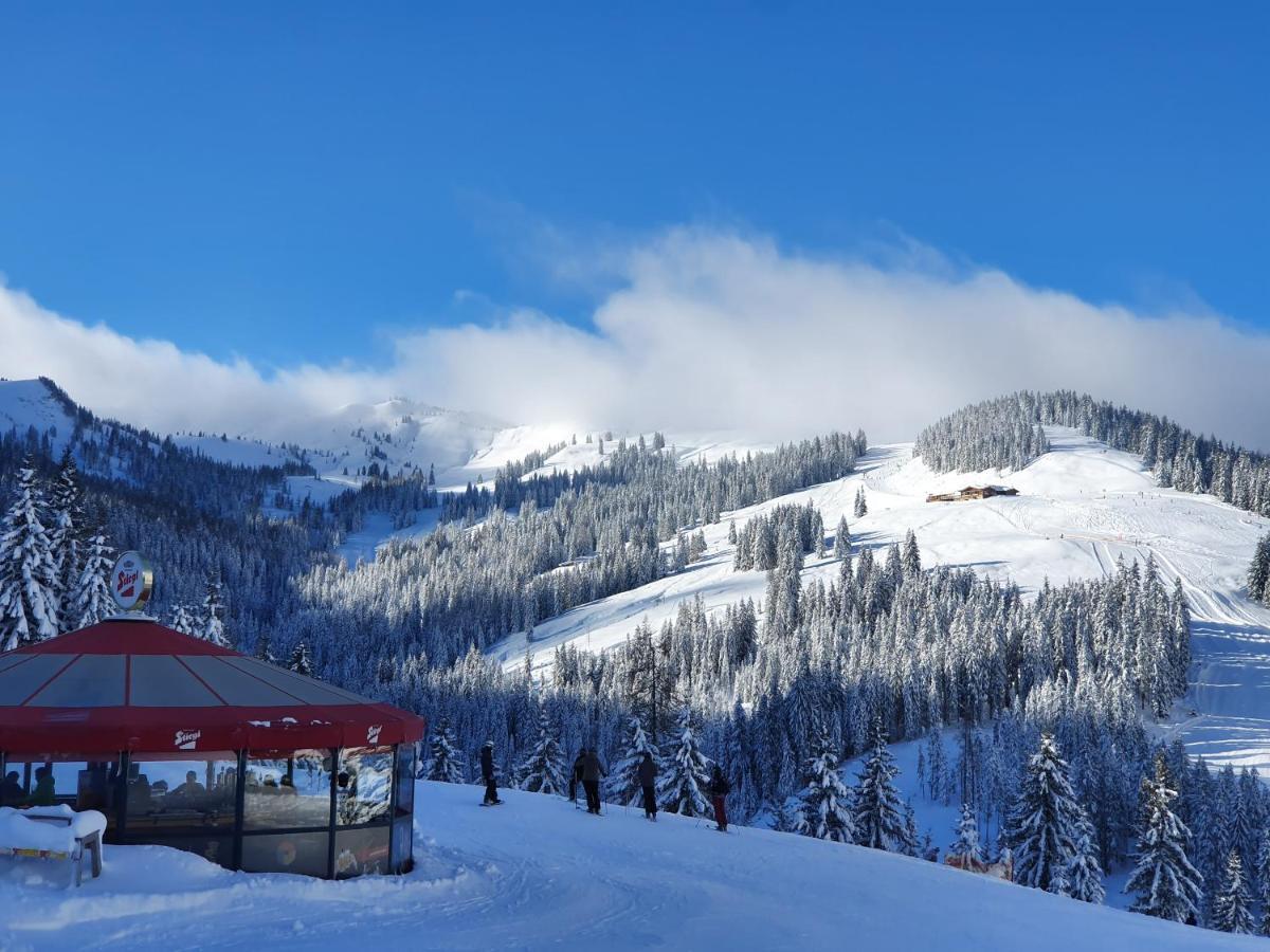 Haus Sonnleiten Maria Alm am Steinernen Meer Zewnętrze zdjęcie