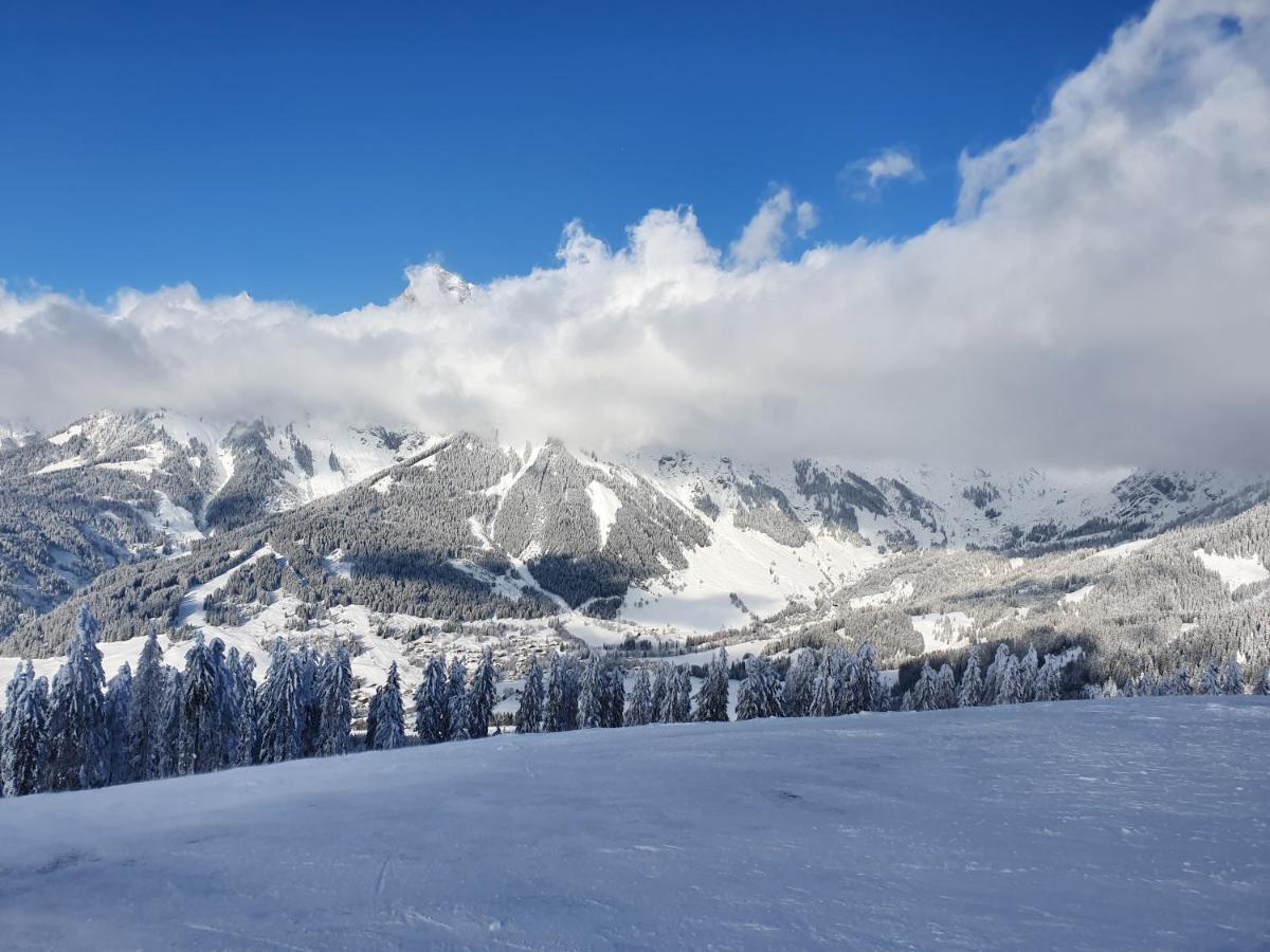 Haus Sonnleiten Maria Alm am Steinernen Meer Zewnętrze zdjęcie