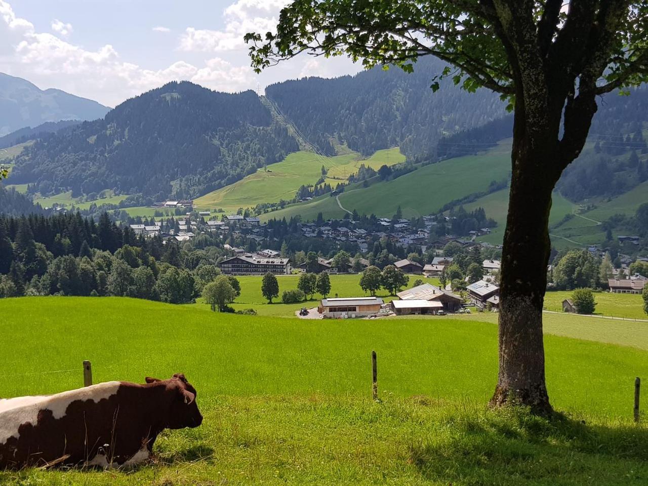 Haus Sonnleiten Maria Alm am Steinernen Meer Zewnętrze zdjęcie