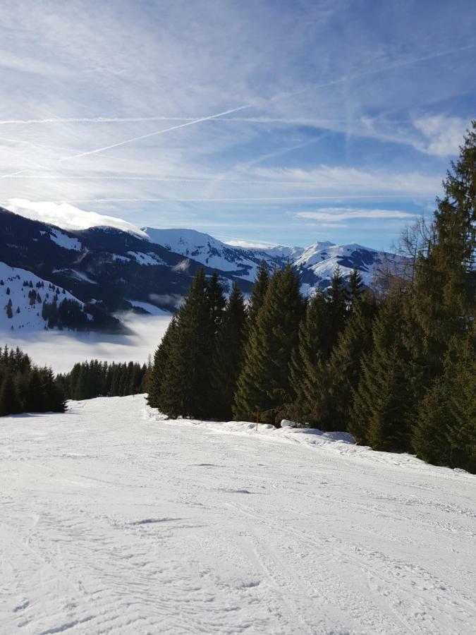 Haus Sonnleiten Maria Alm am Steinernen Meer Zewnętrze zdjęcie
