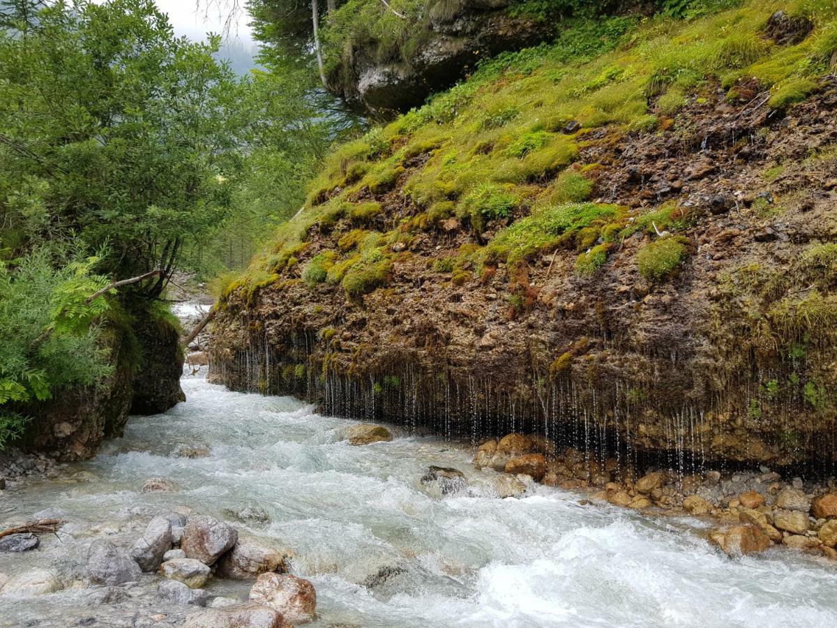 Haus Sonnleiten Maria Alm am Steinernen Meer Zewnętrze zdjęcie